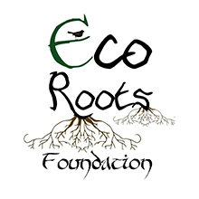 Eco Roots Foundation