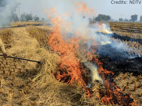 Stubble burning & its effects on environment