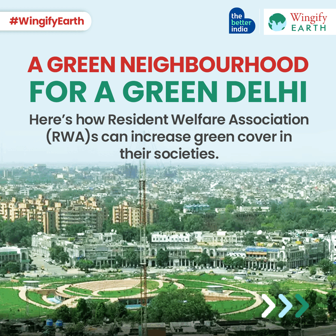 A Green Neighbourhood for a Green Delhi