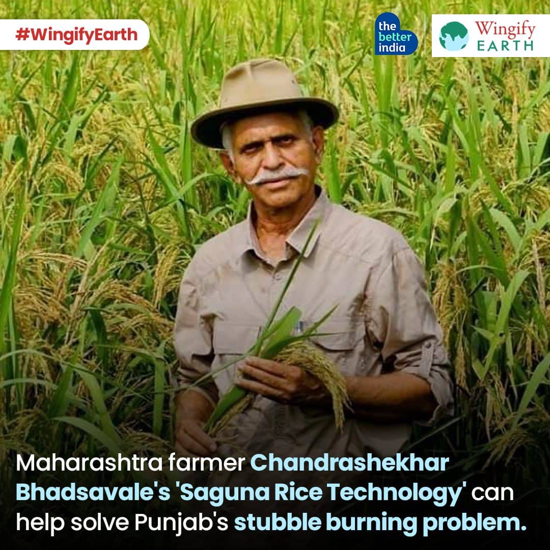 Maharashtra farmer - Chandrashekar Bhadsavale's SRT can solve stubble problem