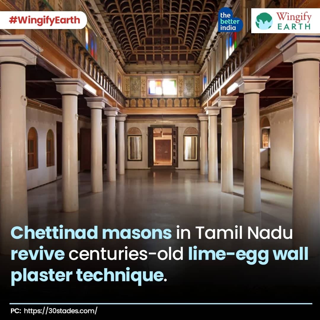 Chettinad Masons in Tamil Nadu revive centuries-old lime-egg wall plaster technique