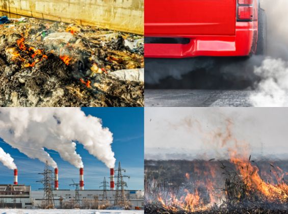 What Are You Doing To Reduce Air Pollution?