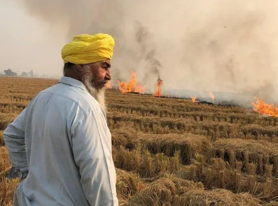 Burning Fields, Choking Skies: Air Pollution Caused by Stubble Burning