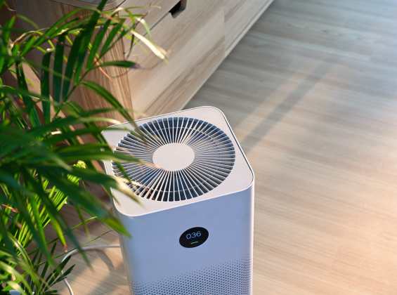 Guide To Air Purifiers for Closed Rooms