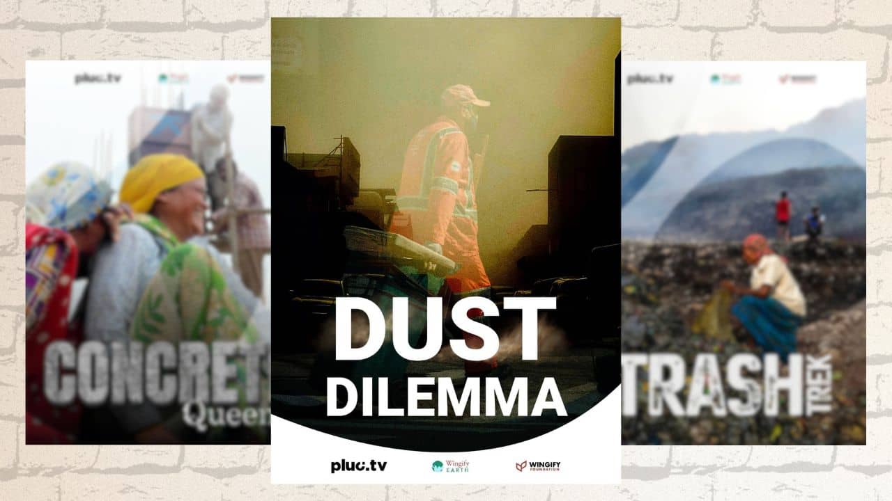 dust-dilemma